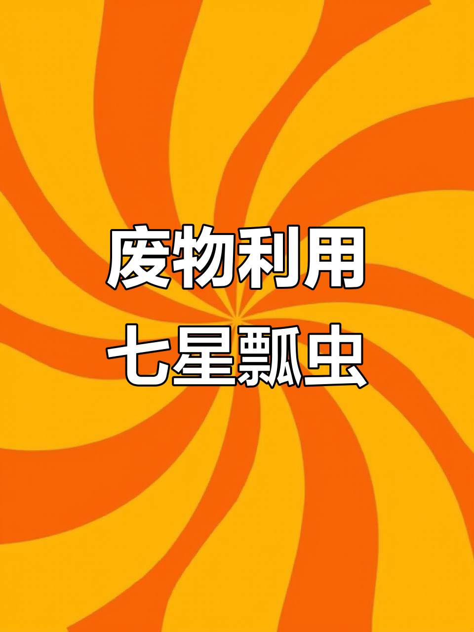 用废旧蛋壳画七星瓢虫,创意手工乐趣多