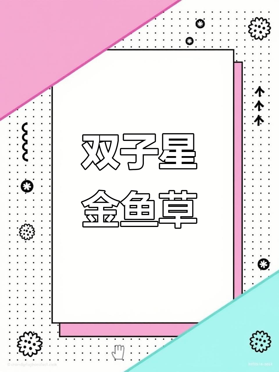 金鱼草盆栽:古铜渐变花朵,阳台庭院必备
