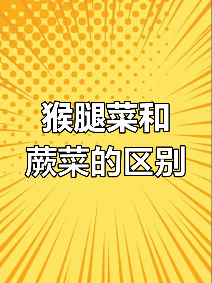 猴腿菜与蕨菜的差异解析