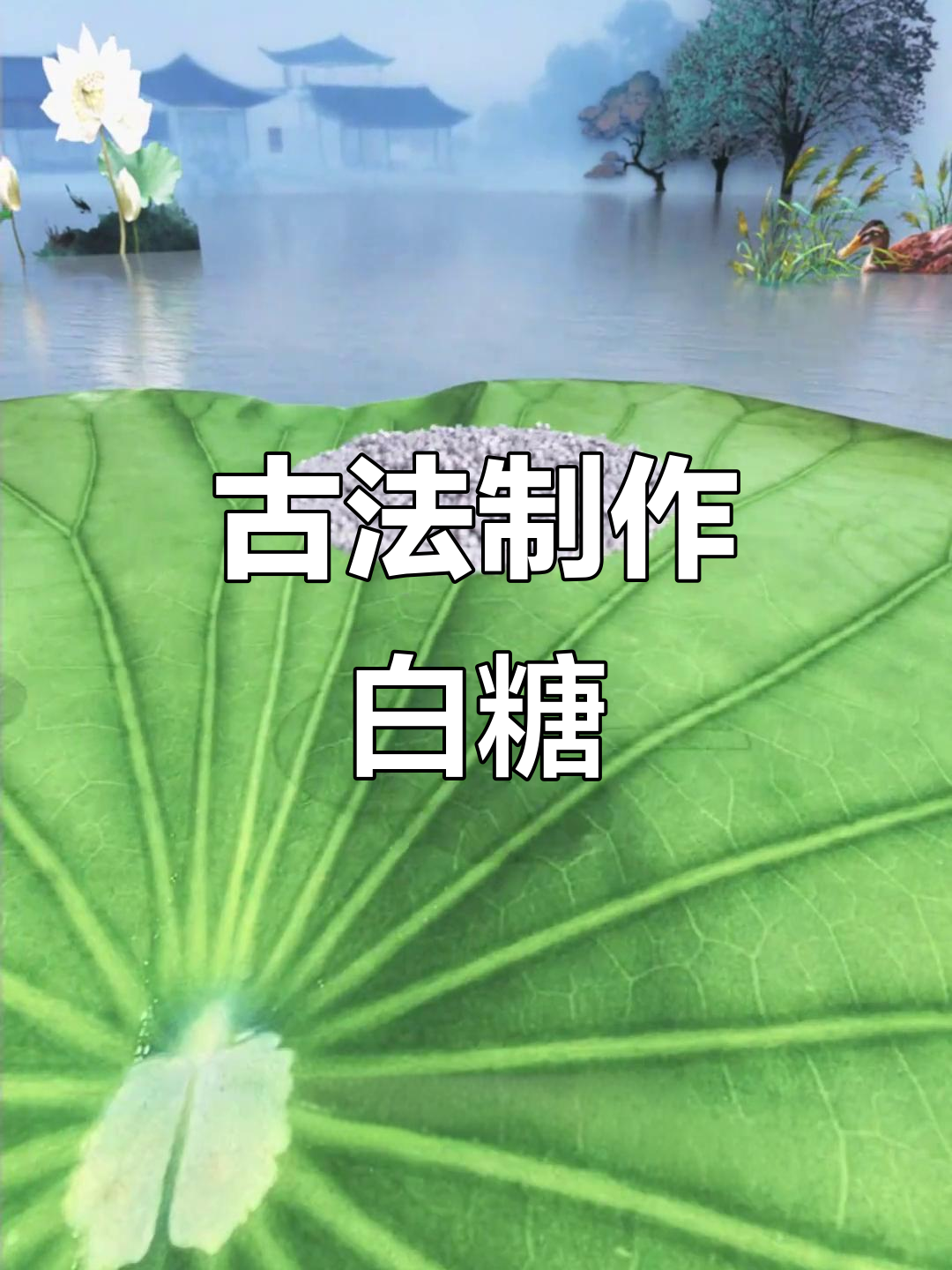 古代制糖的智慧:从甜菜根到白糖的奇妙工艺