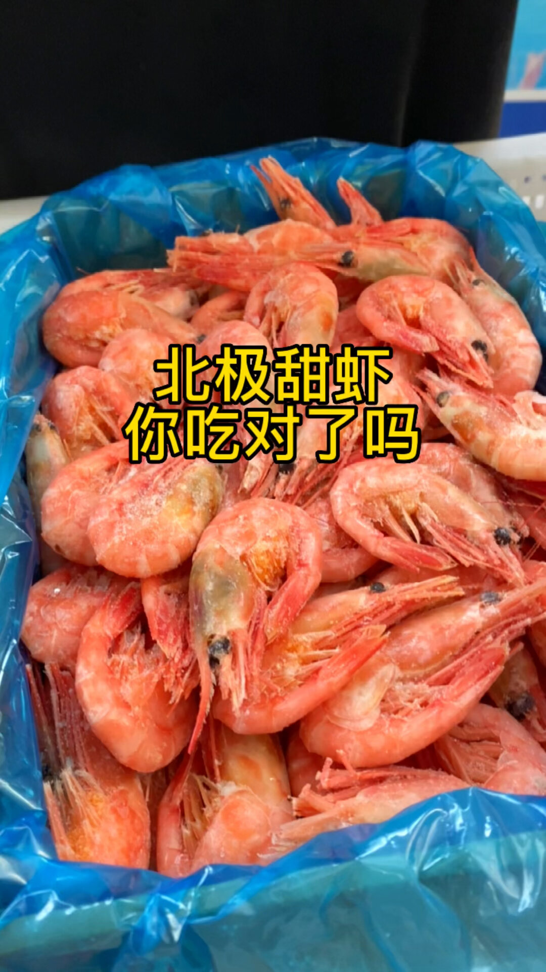 北极甜虾腹籽虾正当季.吃的时候虾籽别浪费了.记得先嗦一口哈