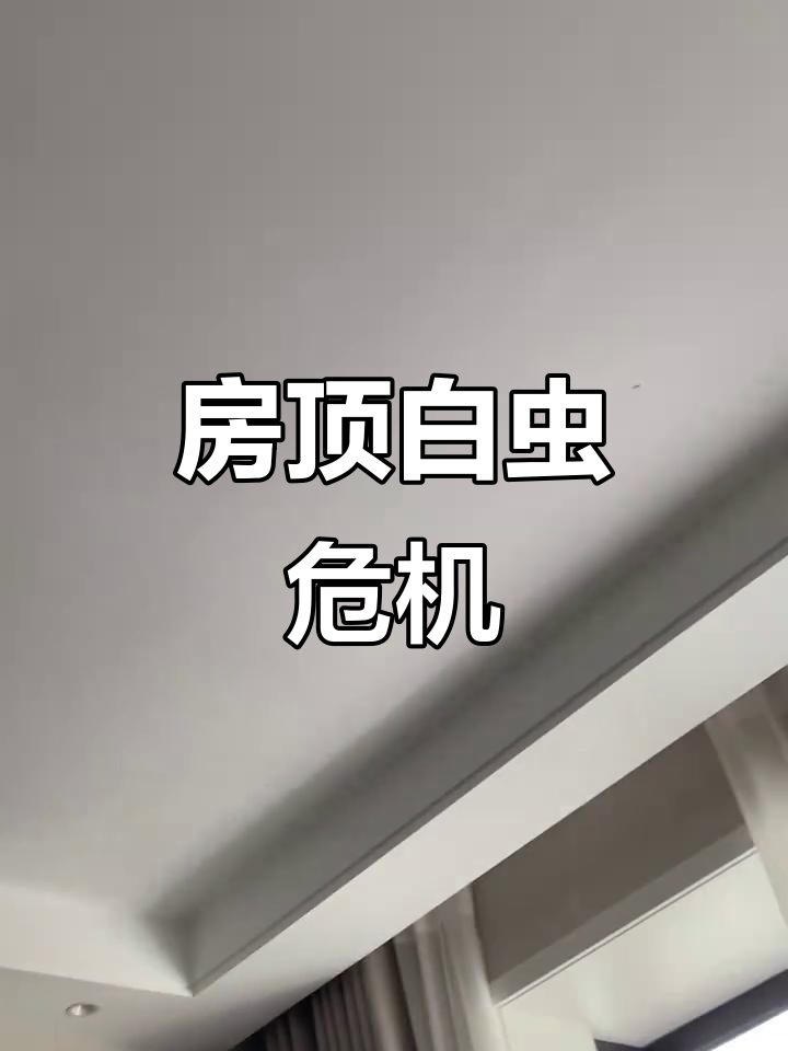 房顶惊现白色肉虫，恶心至极！