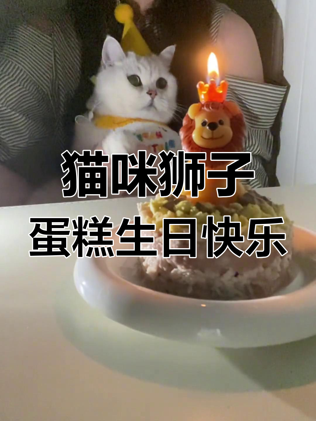 小猫咪的生日蛋糕,狮子造型太可爱了!