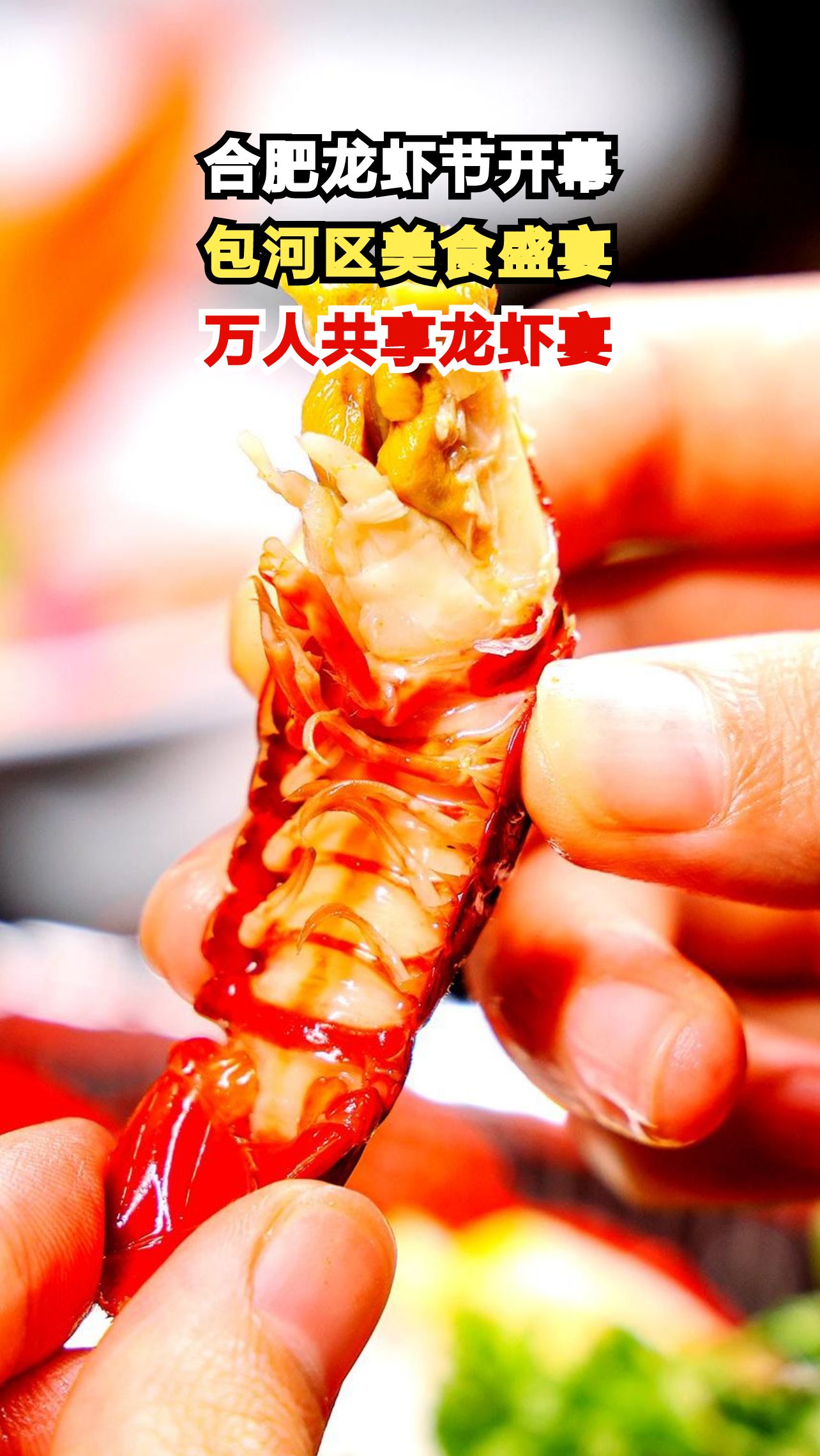 2025合肥龙虾节盛大开幕,5天狂卖40吨龙虾,你准备好了吗?