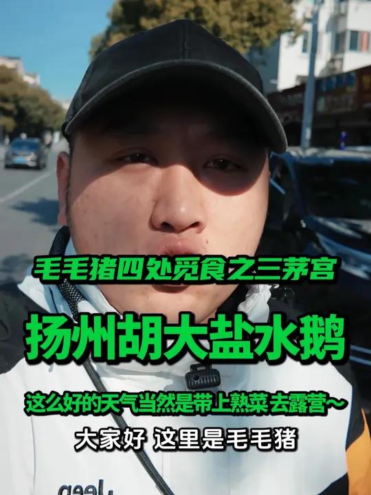 这么好的天气带上盐水鹅去露营～