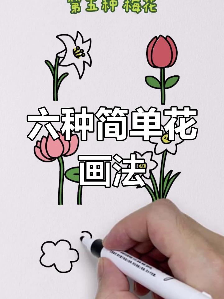 零基础学画六种美丽花朵,轻松掌握简笔画技巧