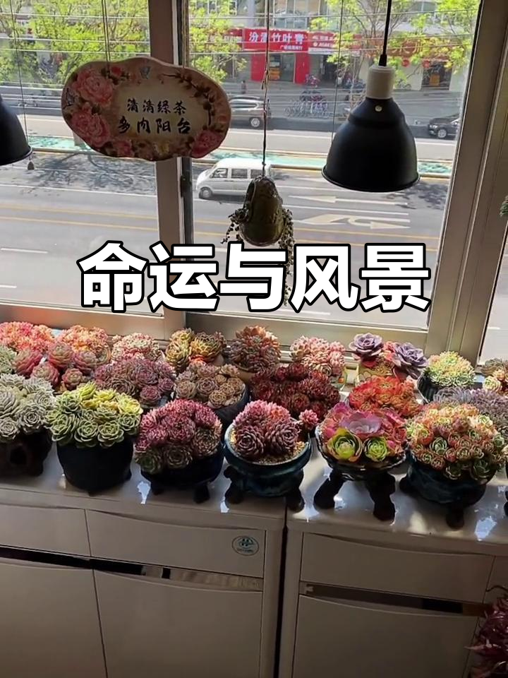 每一刻都是命中注定,得失皆为生命中的独特风景
