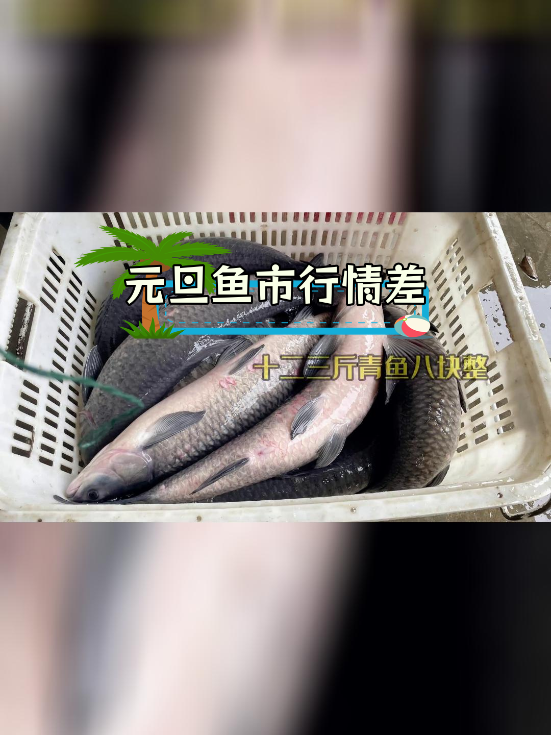 湖北荆州2024年1月鱼价下跌,元旦市场低迷
