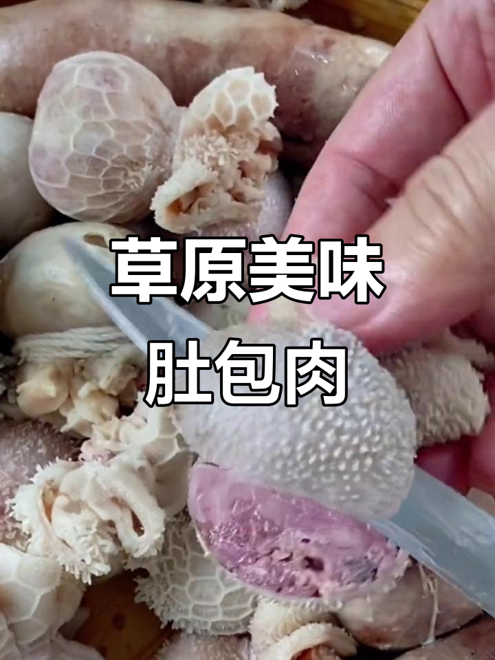 内蒙古肚包肉,纯羊肉口感十足,草原风味满满!