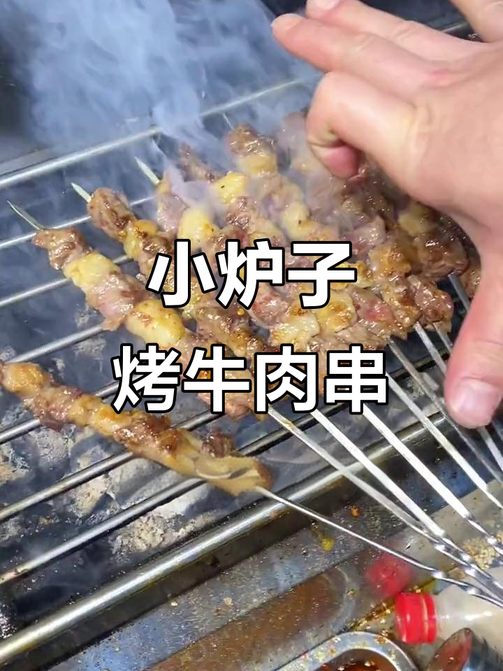 20厘米炉子烤肉串,3块钱一串值不值?