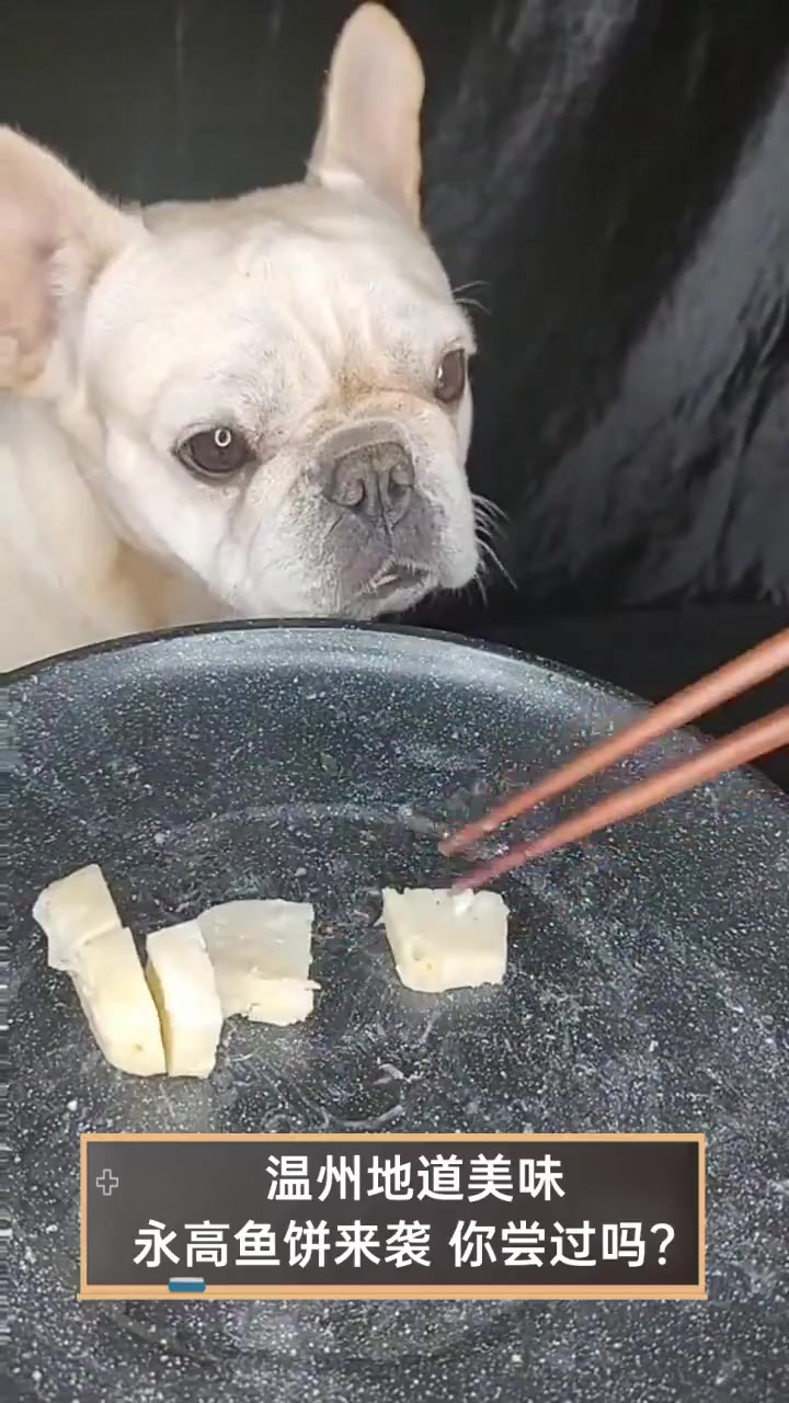 温州地道美味,永高鱼饼来袭,你尝过吗?