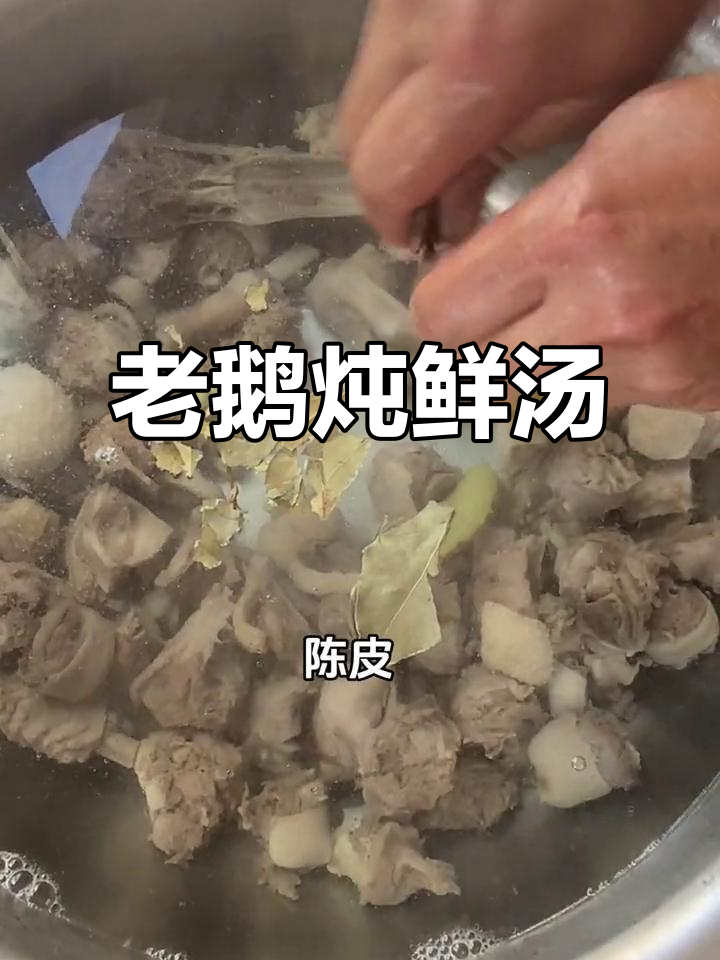 新鲜老鹅炖汤,生鲜美味等你尝