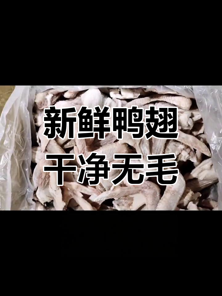 鸭翅批发,二节三节全翅供应