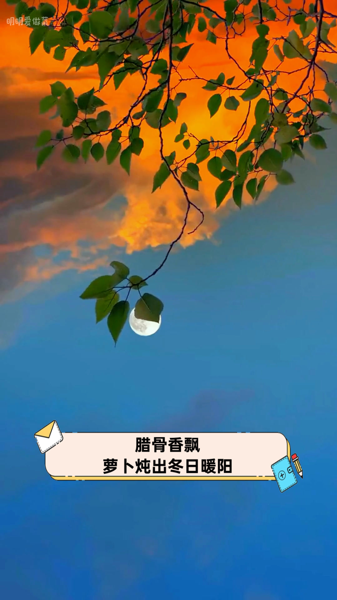 腊骨香飘,萝卜炖出冬日暖阳