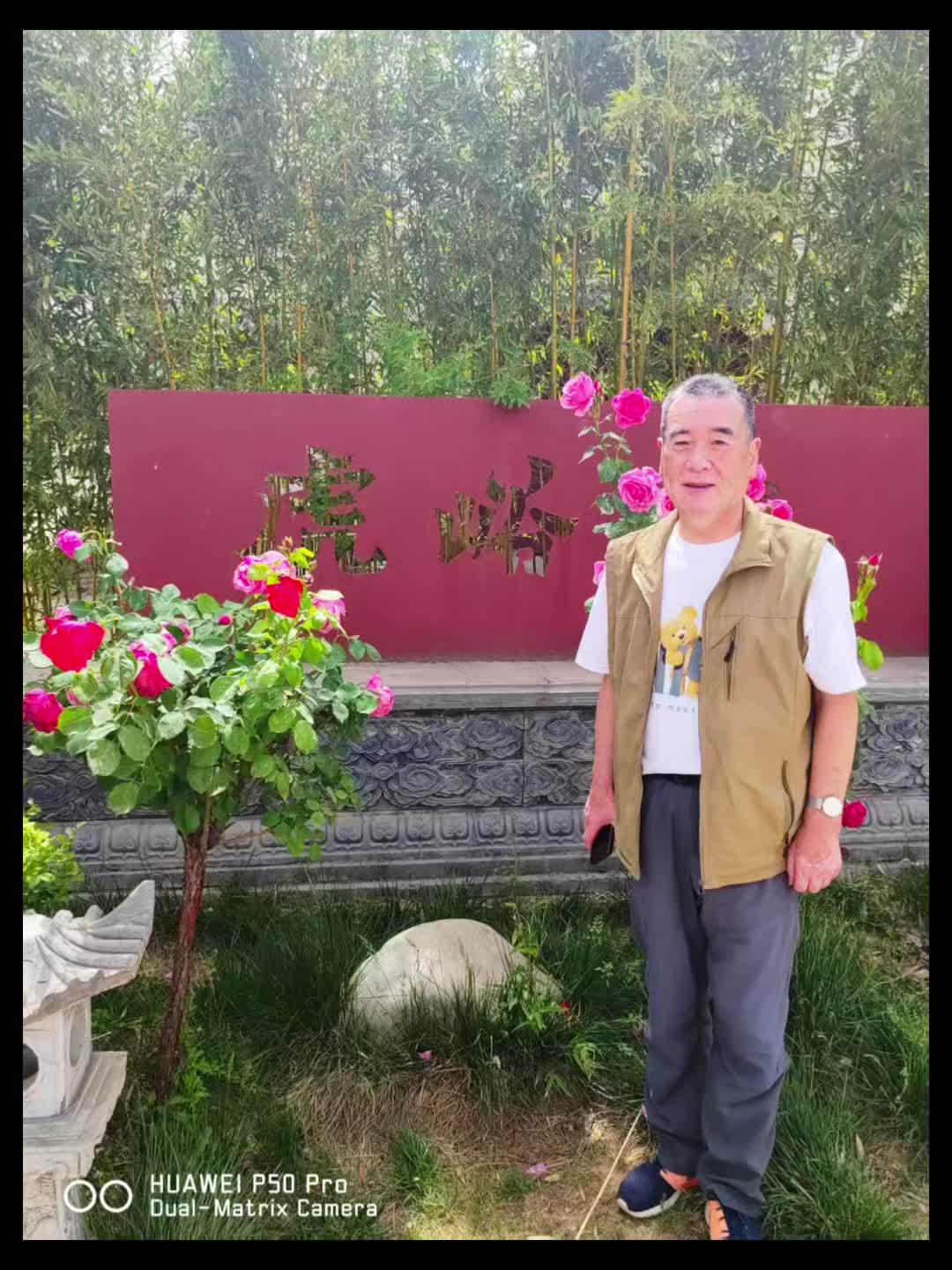 虎峪村口的大片油菜花已经凋谢了结实饱满的豆荚不久也会迎来大丰收……