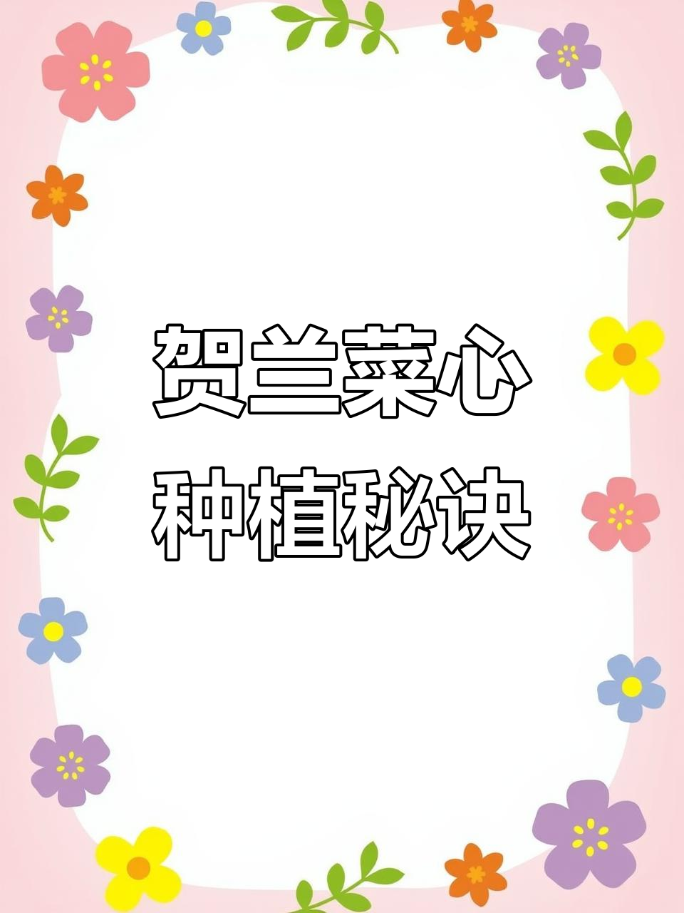 宁夏贺兰菜心种植技巧,助力三农发展