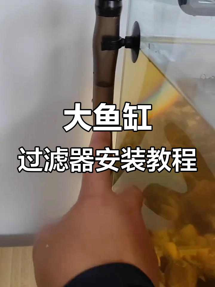 鱼缸过滤桶安装全流程，轻松搞定水质问题