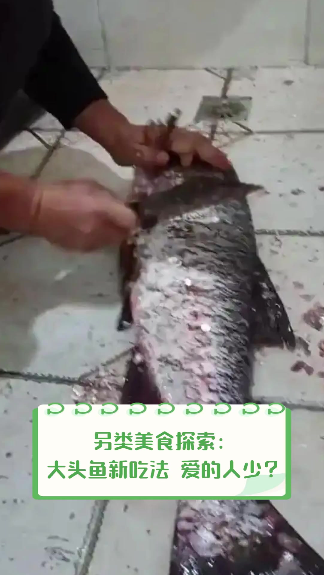 另类美食探索:大头鱼新吃法,爱的人少?