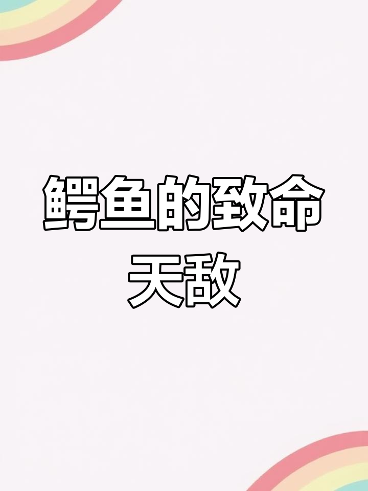 鳄鱼的天敌揭秘:水中霸主如何高智商捕杀猎物