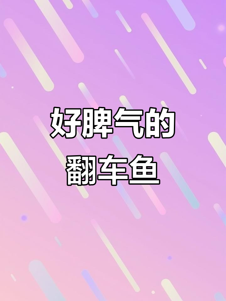 翻车鱼:海洋中的“佛系”大驶,面对天敌毫不挣扎