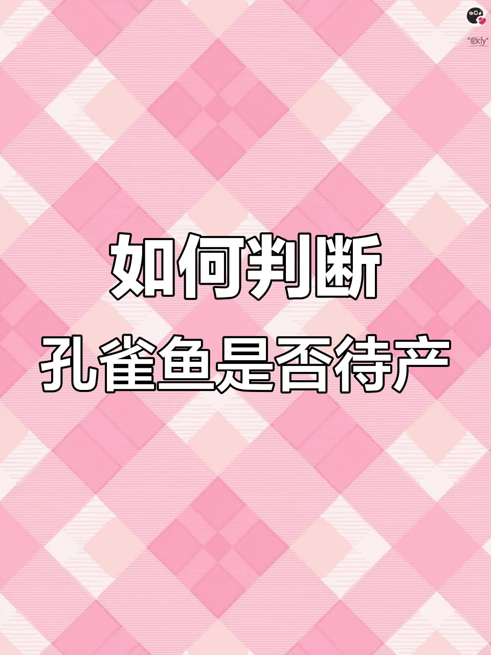 孔雀鱼待产信号全解析，如何正确隔离生产环境