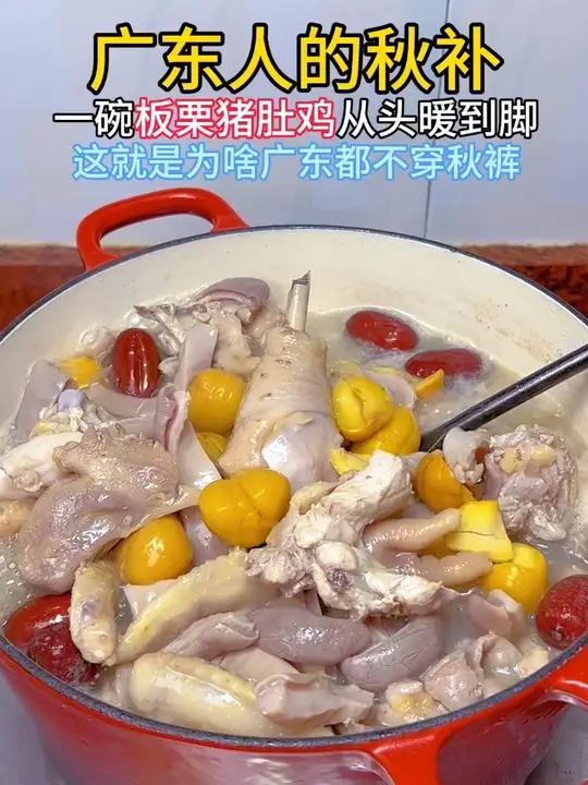 广东人的秋补:一碗板栗猪肚鸡,暖心又暖胃,远离秋裤