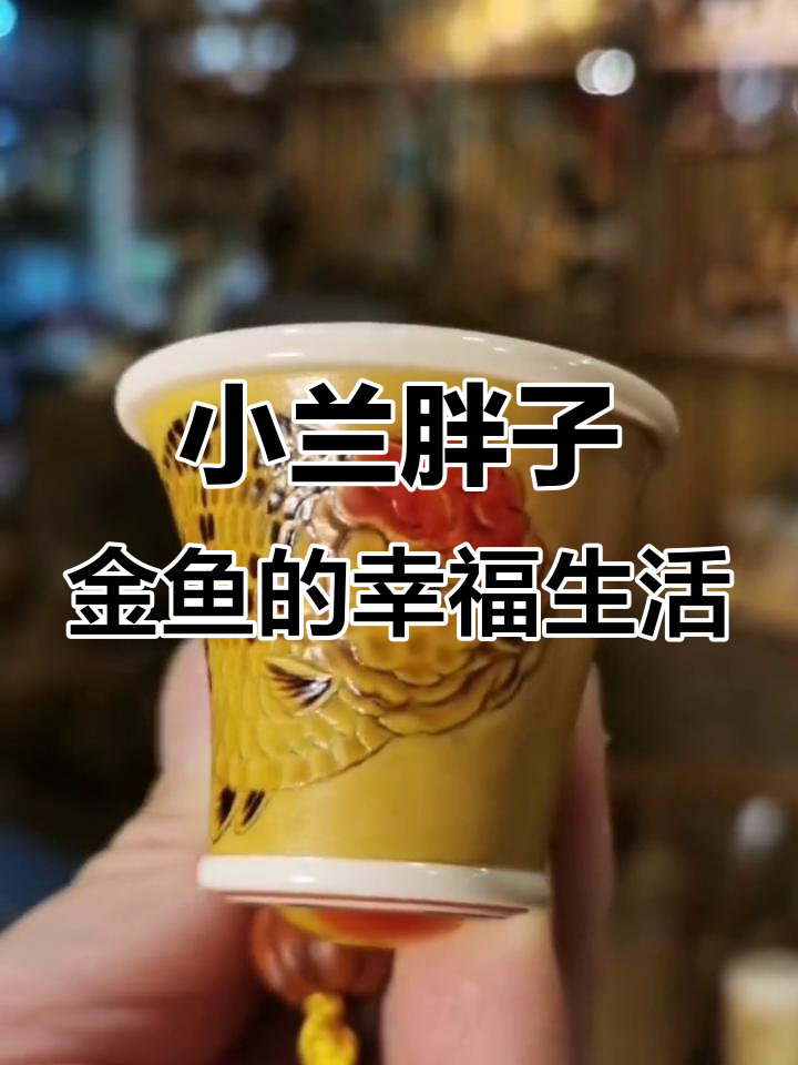胖金鱼也能有对象,葫芦烙画传承魅力