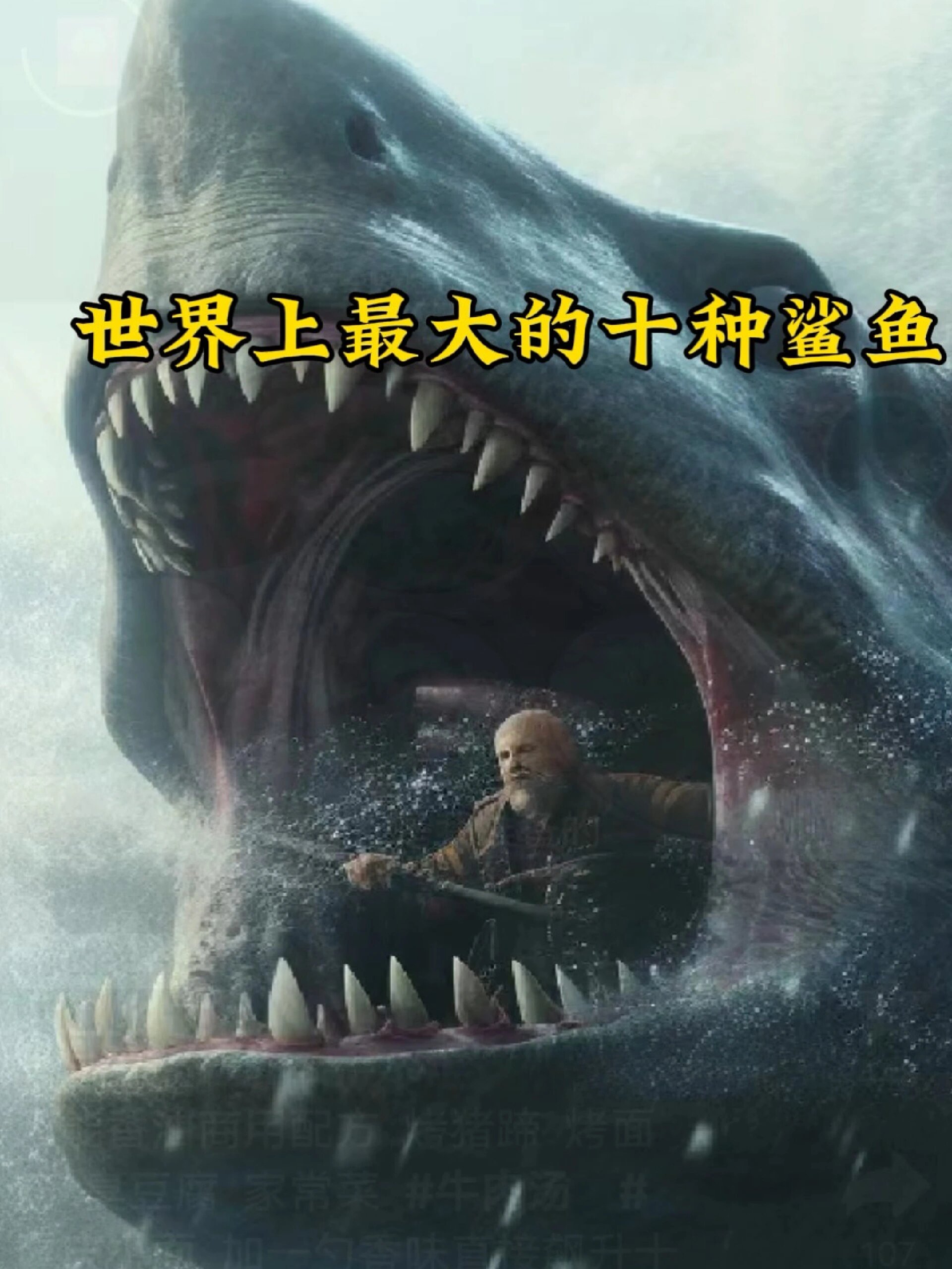 世界上最大十种鲨鱼你知道几个