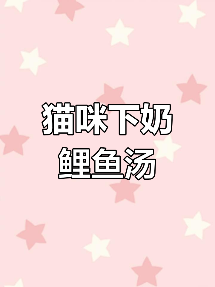 猫妈妈下奶鲤鱼汤,萌宠日常大公开