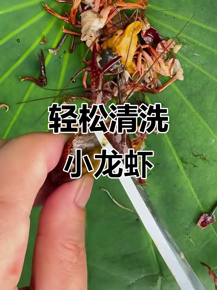 小龙虾清理技巧大揭秘,快速去腮、肠子全搞定