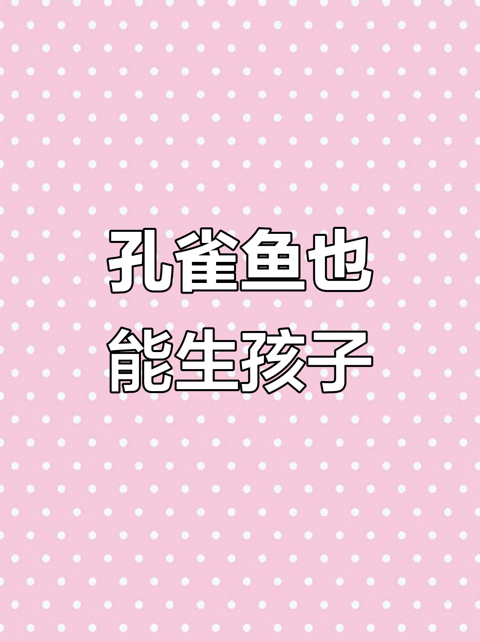 孔雀鱼竟然能生小鱼,超美大尾巴惊艳全场