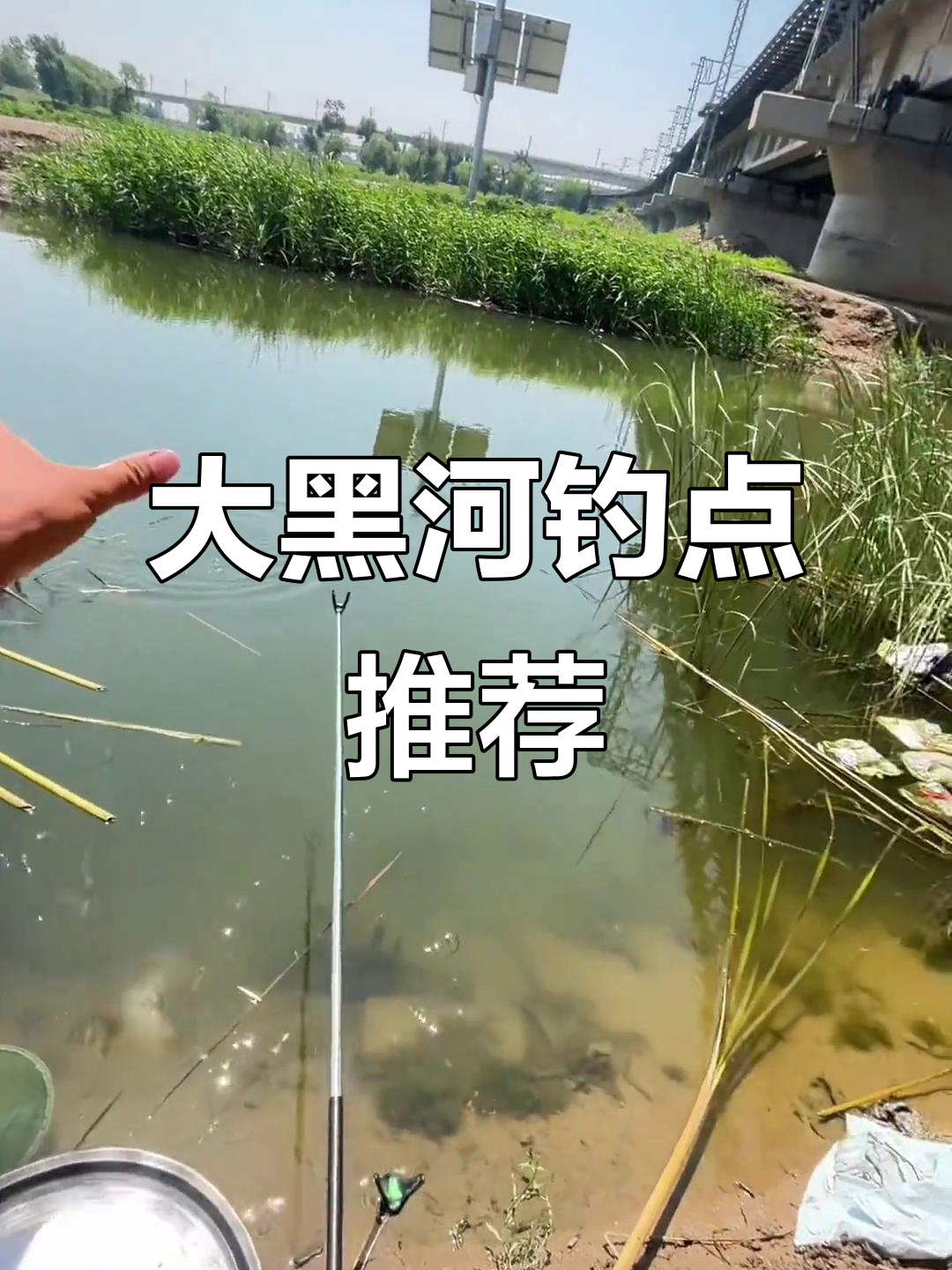 大黑河钓鱼露营地,鲫鲤草鱼一网打尽
