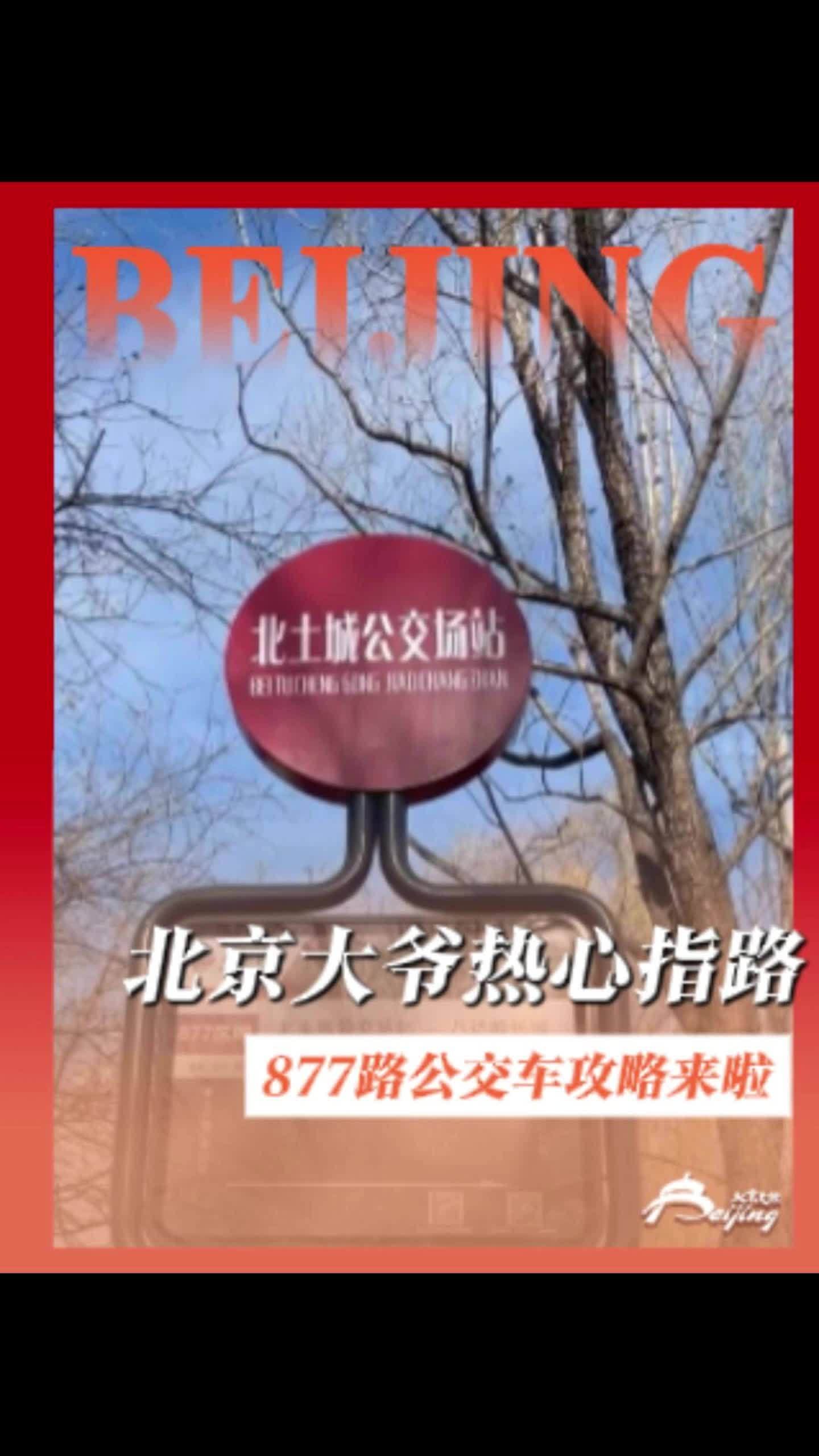 “去八达岭长城坐877路公交车!”北京大爷遇游客热心指路,这份乘车攻略请收好!877路 八