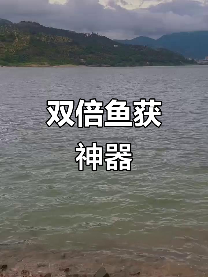 钓鱼时解放双手,弹簧地插让收获翻倍,轻松又高效!