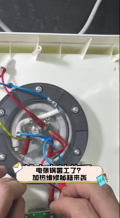 电蒸锅罢工了?加热维修秘籍来袭