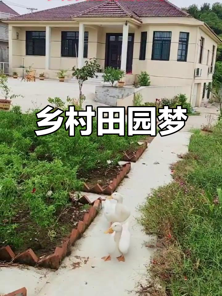 在乡村建个小院,种菜享受田园生活,未来农村会空无一人吗?