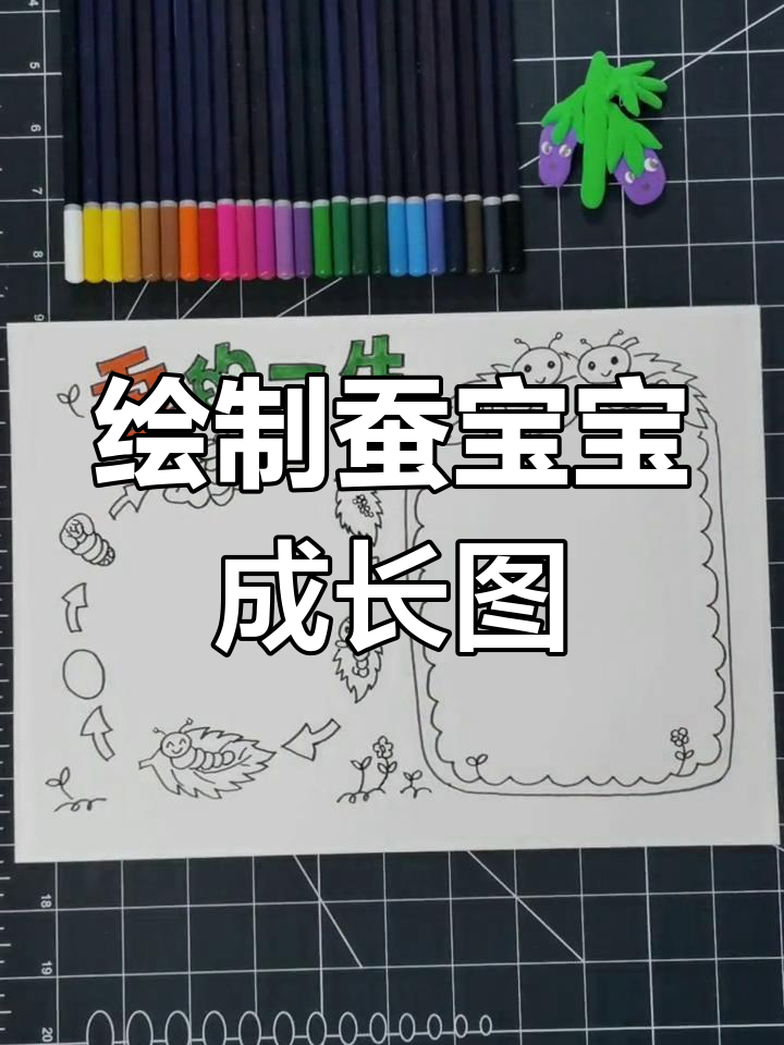 蚕宝宝的一生:从卵到成虫的奇妙旅程