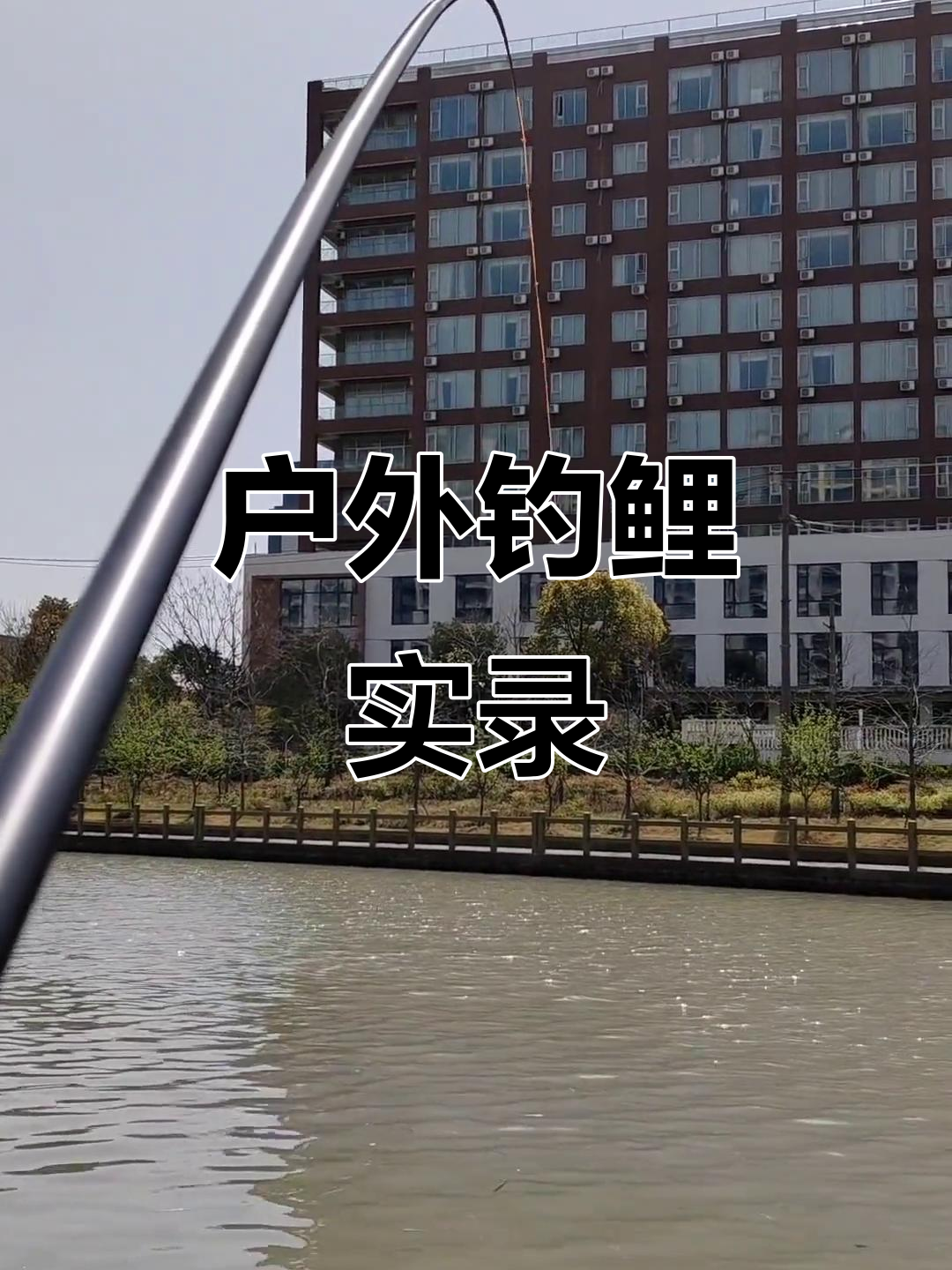 终于钓到鲤鱼,户外钓鱼真实体验