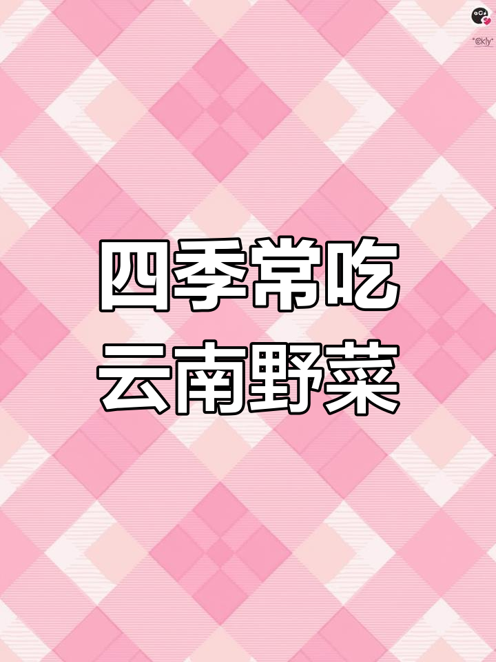 云南人餐桌上的野菜,一年四季都离不开的独特美味