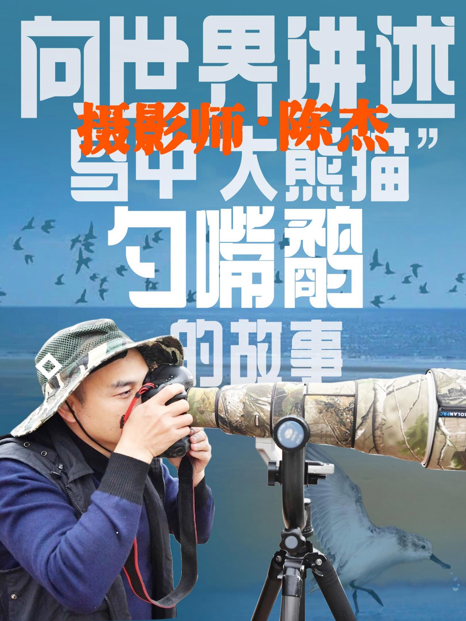 7年拍摄十几万张照片,摄影师陈杰向世界讲述鸟中“大熊猫”故事 广东阳江鸟类摄影师陈杰,自2