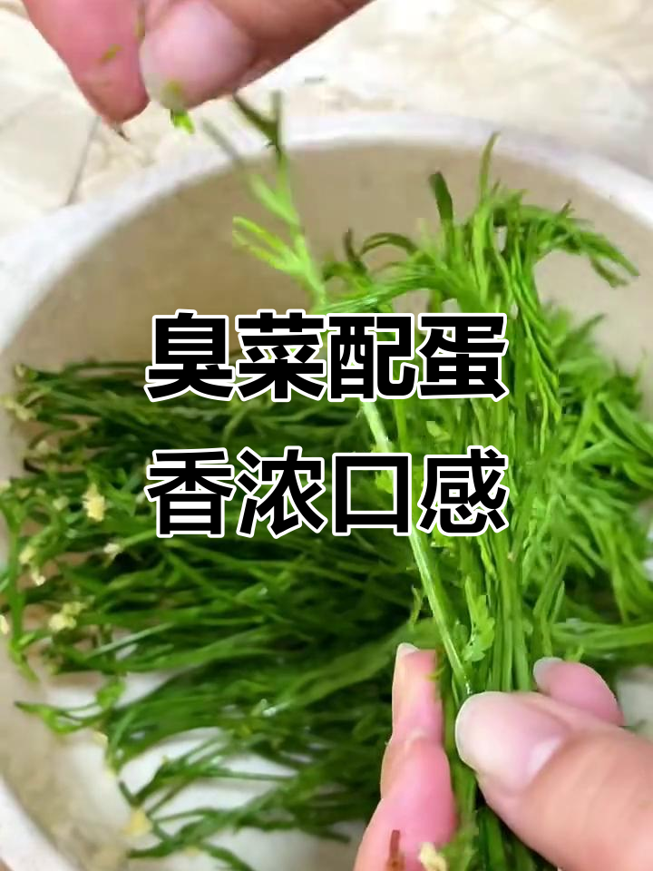 臭菜与鸡蛋的完美搭配,云南特色美味你尝过吗?