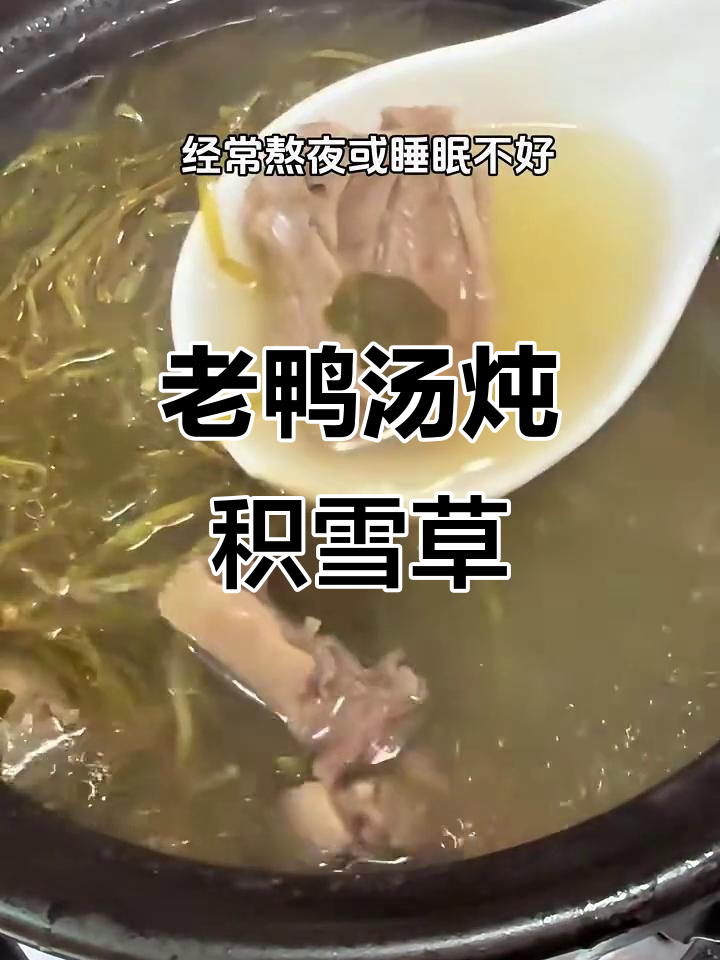 积雪草老鸭汤,滋补又美味