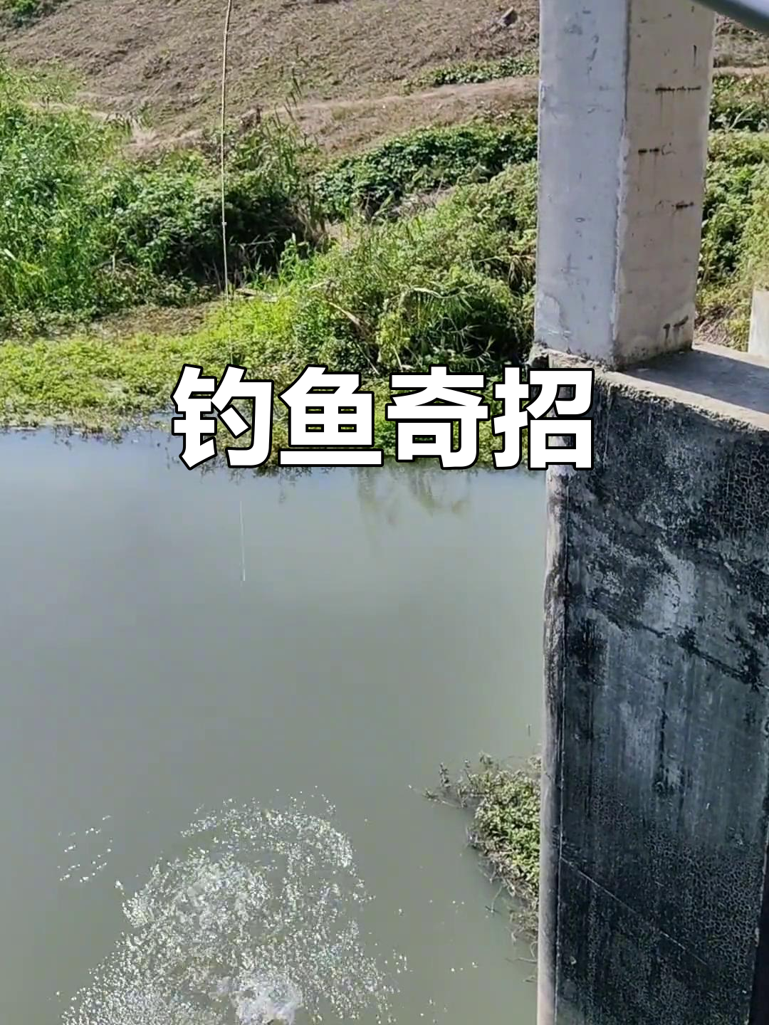 10.14钓鱼新招,泡沫引诱无效?试试这绝妙方法!