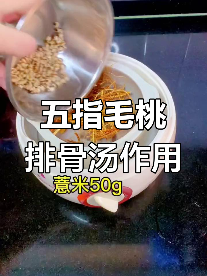 五指毛桃排骨汤的营养价值与功效