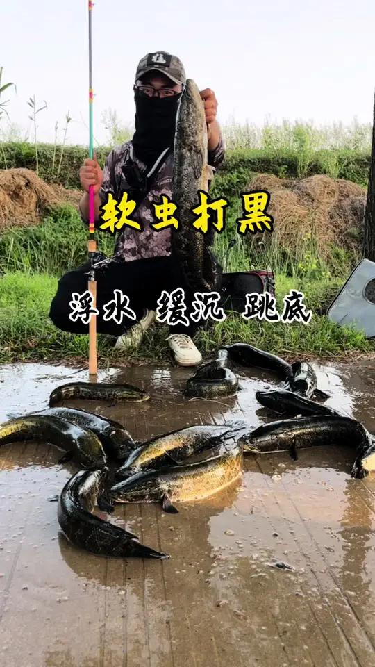 软虫打黑,调节软虫浮水,缓沉,跳底的三种方法 毫无保留,一个视频告诉你,钓黑鱼如何选择合适