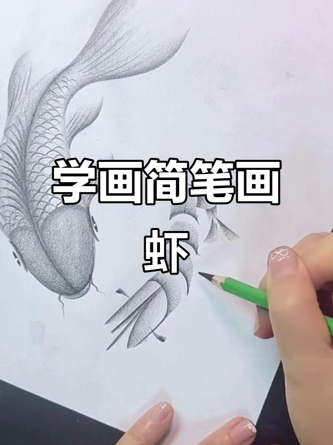 轻松学画虾,简单步骤教你画出可爱小动物