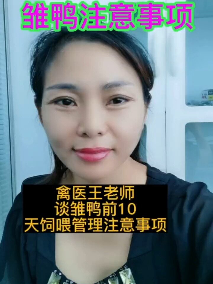 禽医一铭谈雏鸭前10天饲养管理和注意要点