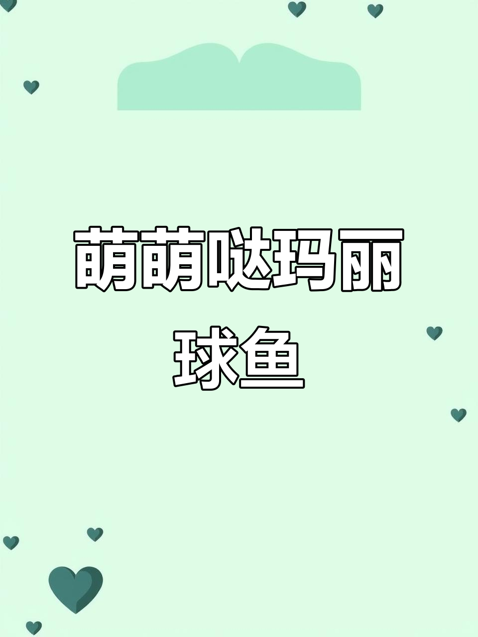 玛丽球鱼呆萌可爱,每月产仔还能清洁油膜,超有趣!