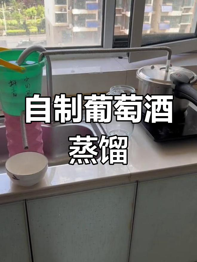 蒸馏工艺揭秘:从葡萄到白兰地