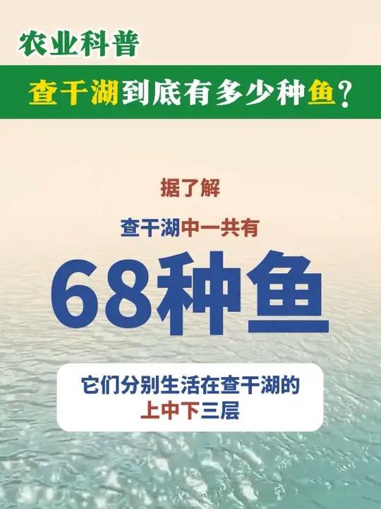 农业科普:查干湖到底有多少种鱼?